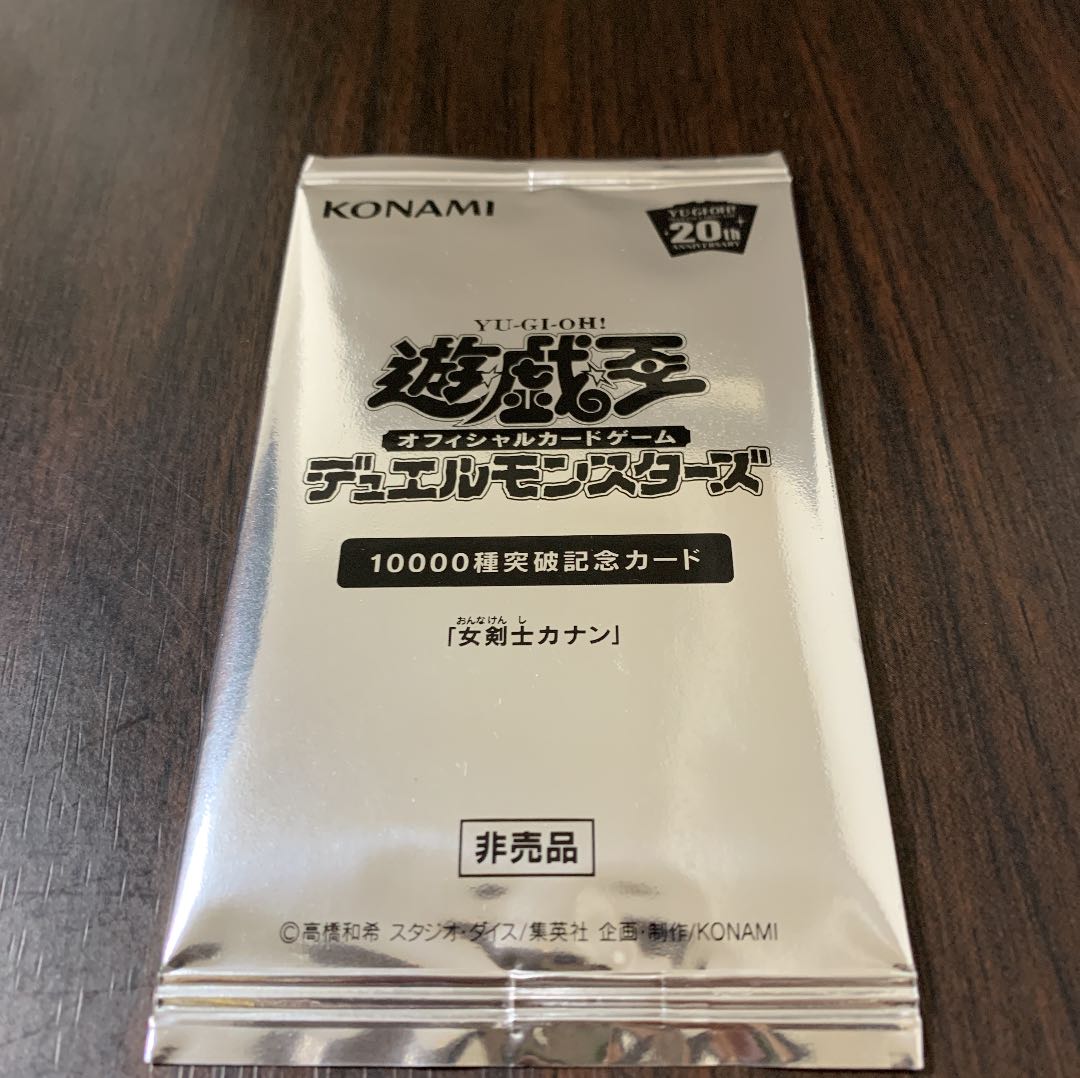 女剣士カナン 未開封 1枚