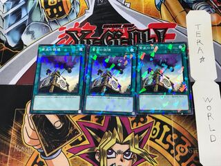 Shien's Smoke Signal DBSW 2 Normal Parallel Set of 3 Tera.