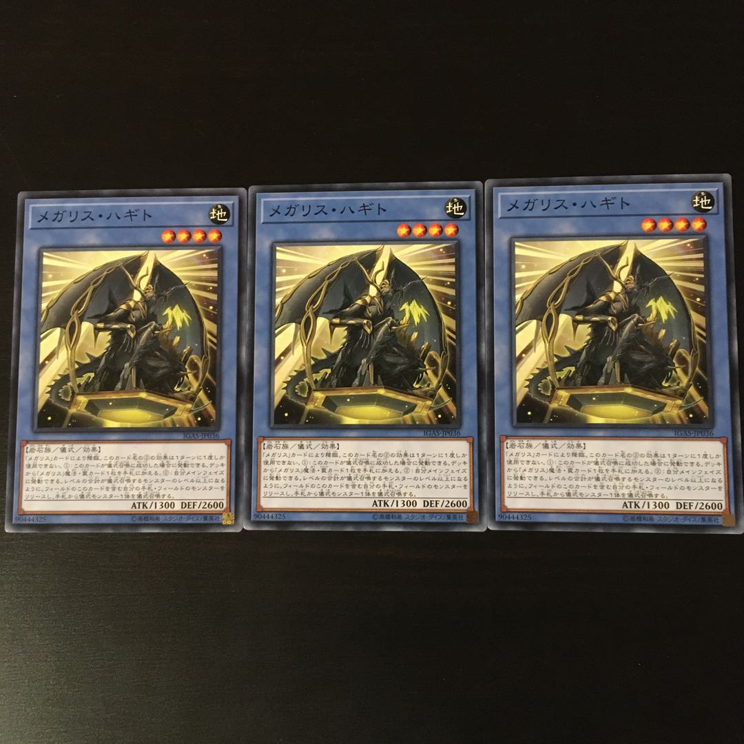 Mega Squirrel Oku 3 pieces