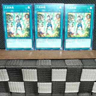 【ぽぽたん】遊戯王  #1279  大胆無敵  ノーマル 3枚