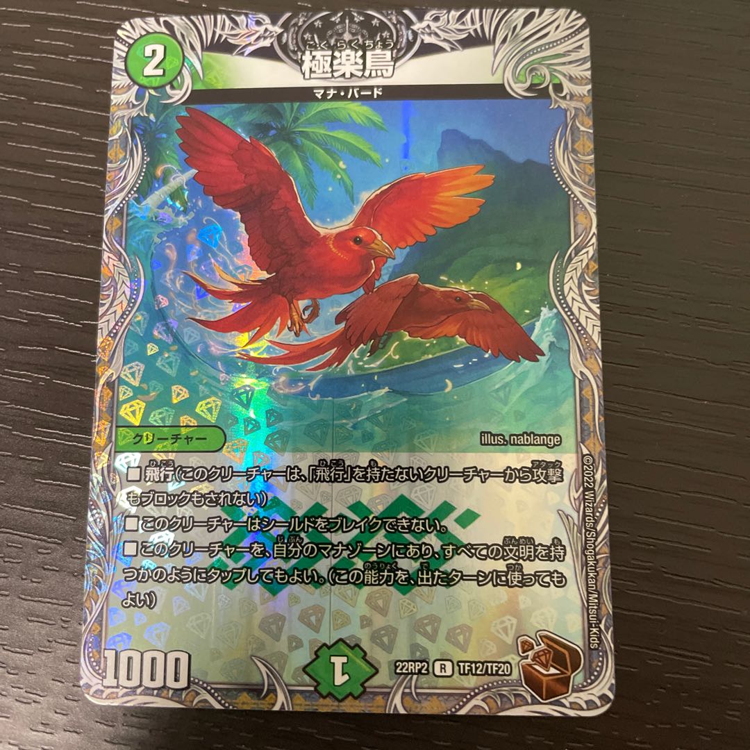極楽鳥、王風 極楽鳥、王風