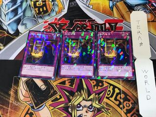 契約洗浄 SPRG 5 ノーマルパラレル 3枚セット てら