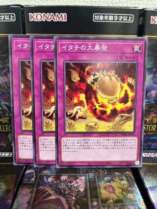 Yu-Gi-Oh Studio 2229 Ferret Flames 3 Normal