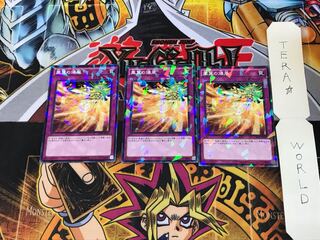 Phoenix Wing Wind Blast SPFE 4 Normal Parallel Set of 3 Tera