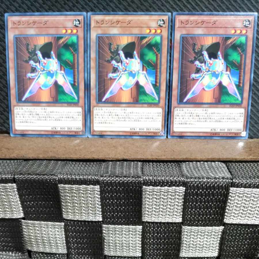 【ぽぽたん】遊戯王 #1299 トランシケーダ ノーマル 3枚