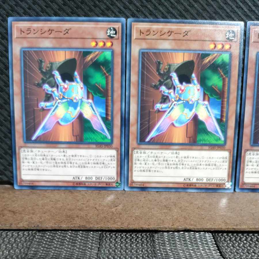 【ぽぽたん】遊戯王 #1299 トランシケーダ ノーマル 3枚