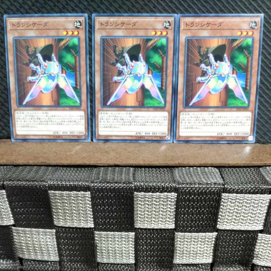【ぽぽたん】遊戯王 #1300 トランシケーダ ノーマル 3枚