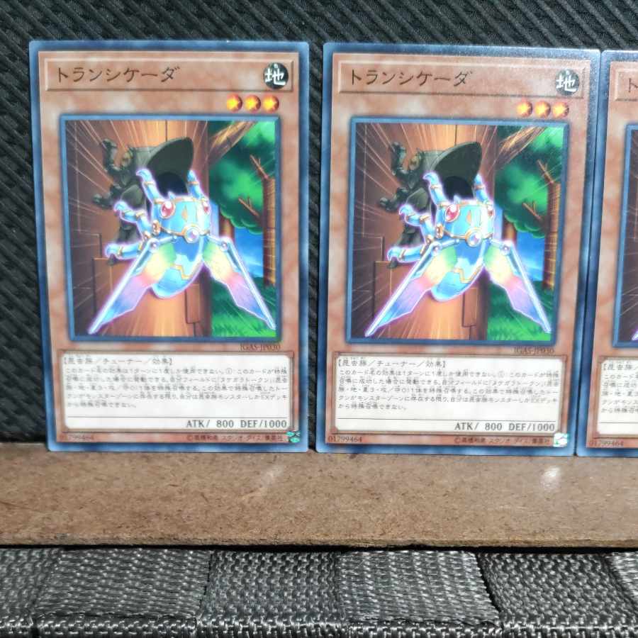 【ぽぽたん】遊戯王 #1300 トランシケーダ ノーマル 3枚