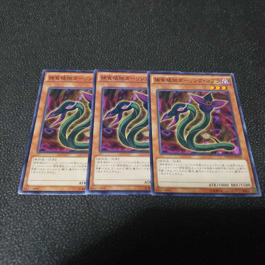 遊戯王　捕食植物ダーリングコブラ　３枚