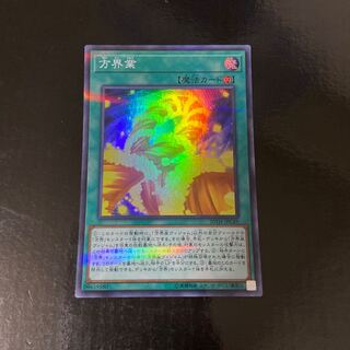 方界業 パラレル スーパーレア JPC49