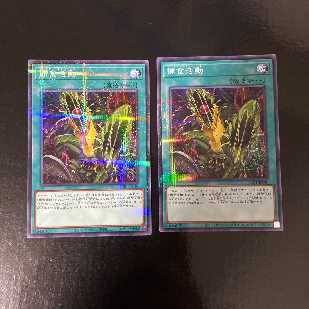 捕食活動 パラレル ノーマル JP040 2枚セット