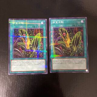 捕食活動 パラレル ノーマル JP040 2枚セット