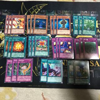 遊戯王 植物 デッキパーツ セット ローズ 六花 等に