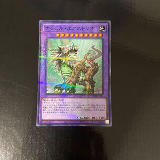 ナチュル・エクストリオ パラレル ノーマル JP059 1枚