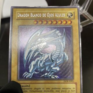 Blue-Eyes White Dragon for confirmation