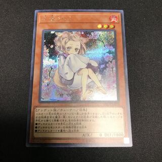 遊戯王　灰流うらら　シークレットレア　絵違い　シク　