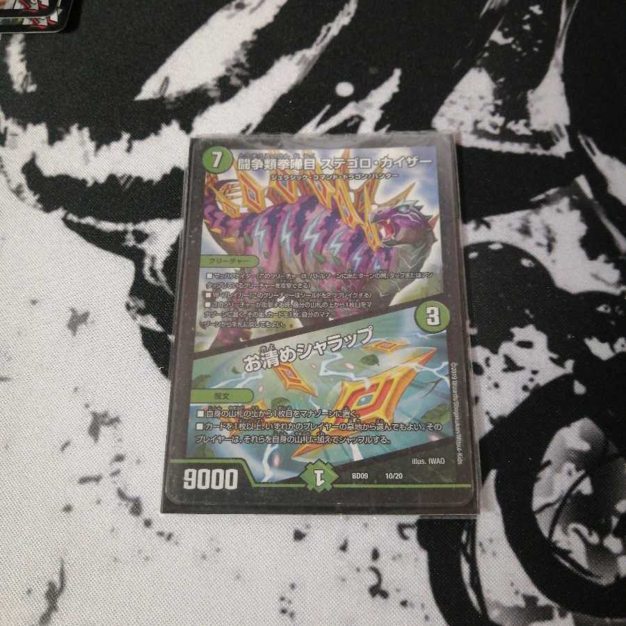 ステゴロカイザー