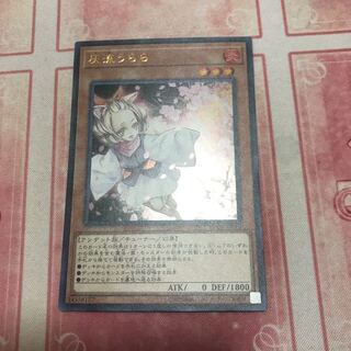 灰流うらら ウルトラ