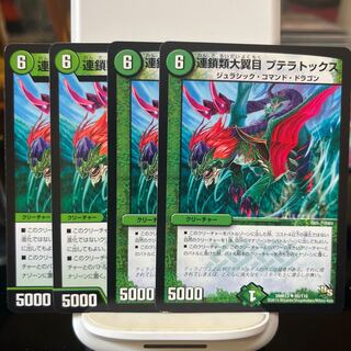 連鎖類大翼目 プテラトックス