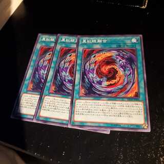 【願い事】真紅眼融合 3枚