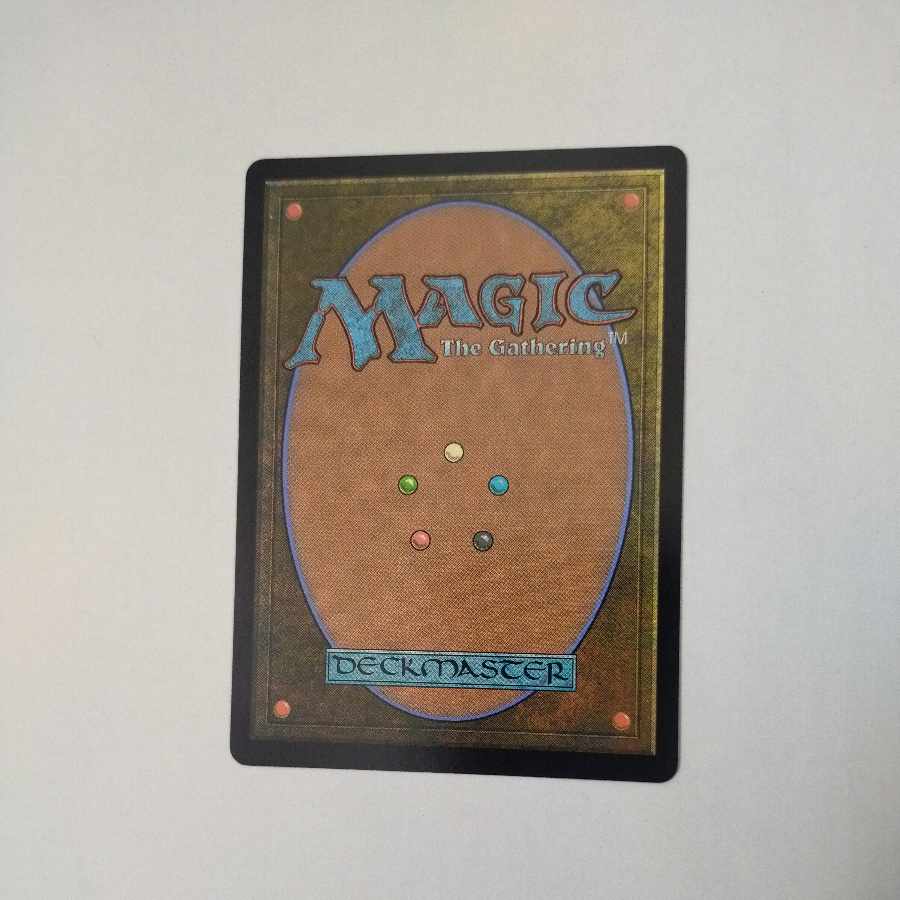 MTG Sword of Feast and Famine