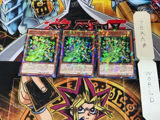 PSY-Framegear Delta SPHR 5 Normal Parallel Set of 3 Tera.