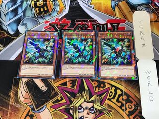 RR-Vanishing Rainiers SPWR 1 Normal Parallel Set of 3 Tera.