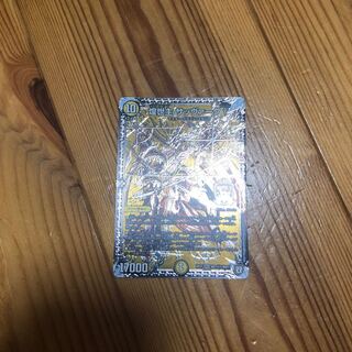 サッヴァーク†