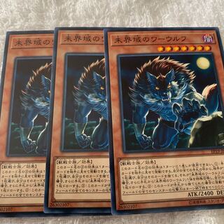 未界域のワーウルフ