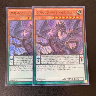 アモルファージイリテュム スーパー ２枚