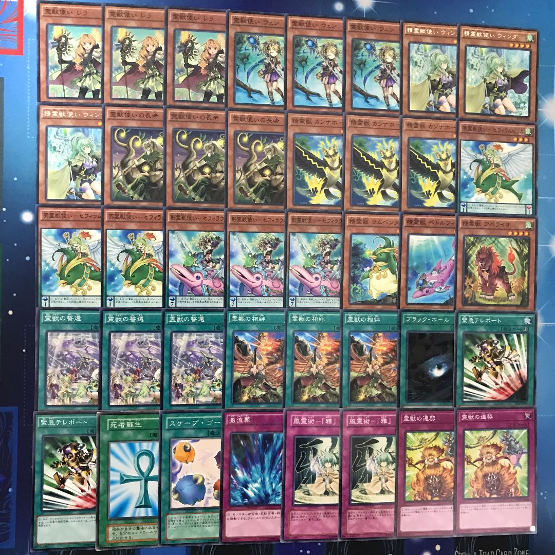 【本格構築】精霊獣デッキ40枚 EX12枚