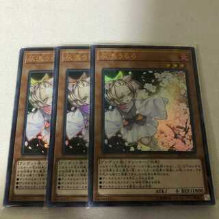 灰流うらら　6枚