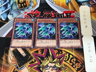 オーロラ・ウィング DP15 3 ノーマルパラレル 3枚セット てら