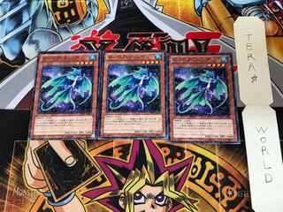 オーロラ・ウィング DP15 4 ノーマルパラレル 3枚セット てら