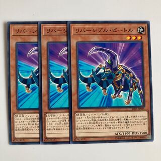 9756 リバーシブル・ビートル ノーマル JP035