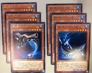 ［R］カッター・シャーク、［N］ランタン・シャーク