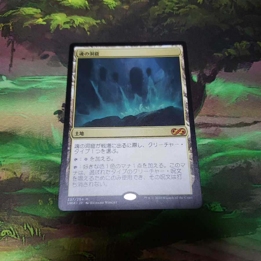 魂の洞窟【日本語】【UMA】