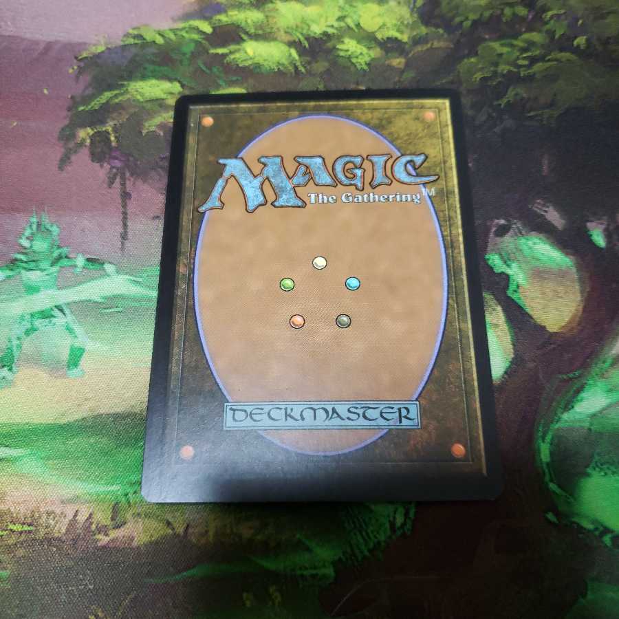 リシャーダの港　【日本語】【A25】