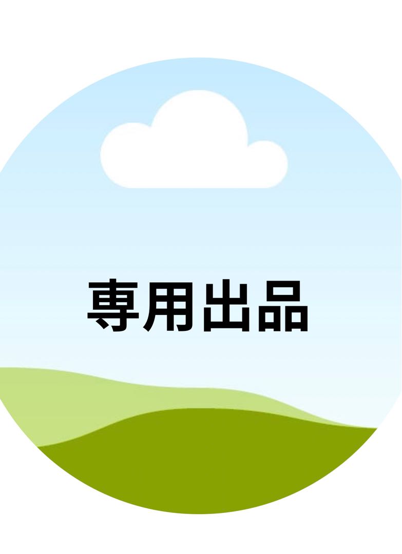 ぎわ様専用出品