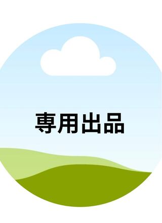 ぎわ様専用出品