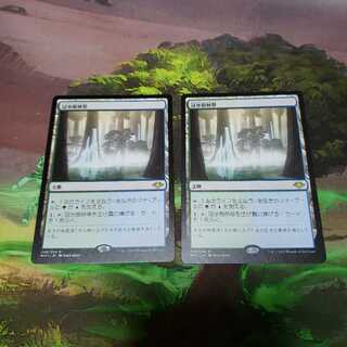 冠水樹林帯2枚セット【日本語】【MH1】