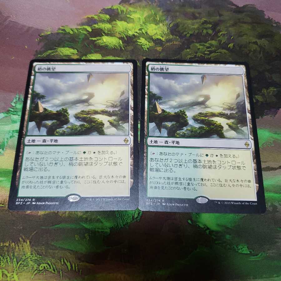 Canopy Vista 2-card set [Japanese] [BFZ