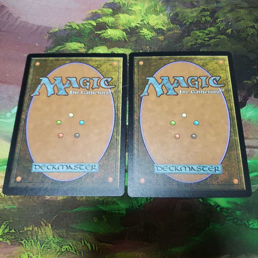 Canopy Vista 2-card set [Japanese] [BFZ