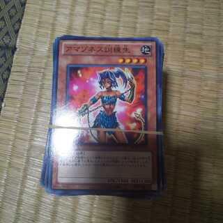 150 Amazones Training Life