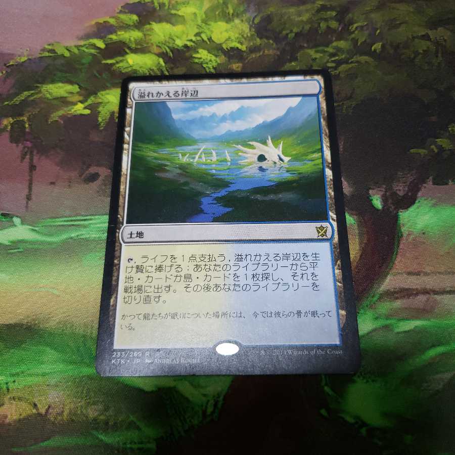 溢れかえる岸辺【日本語】【KTK】 1枚