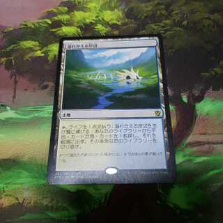 溢れかえる岸辺【日本語】【KTK】