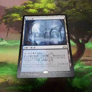 湿った墓【日本語】【GRN】