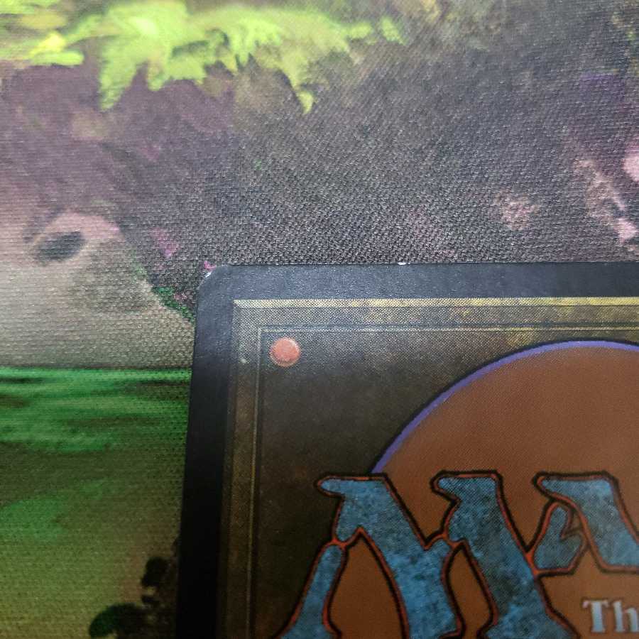 恐血鬼【日本語】【ZEN】【特価】