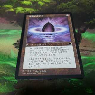 水蓮の花びら【日本語】【THM】