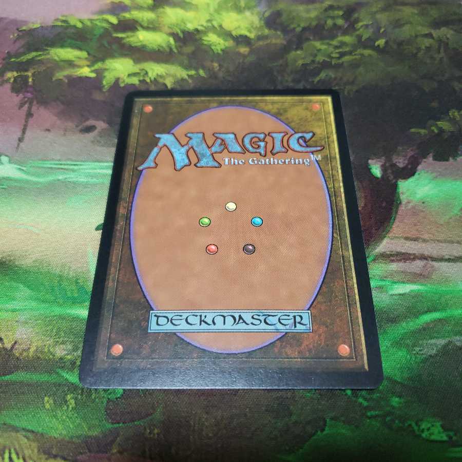 水蓮の花びら【日本語】【THM】